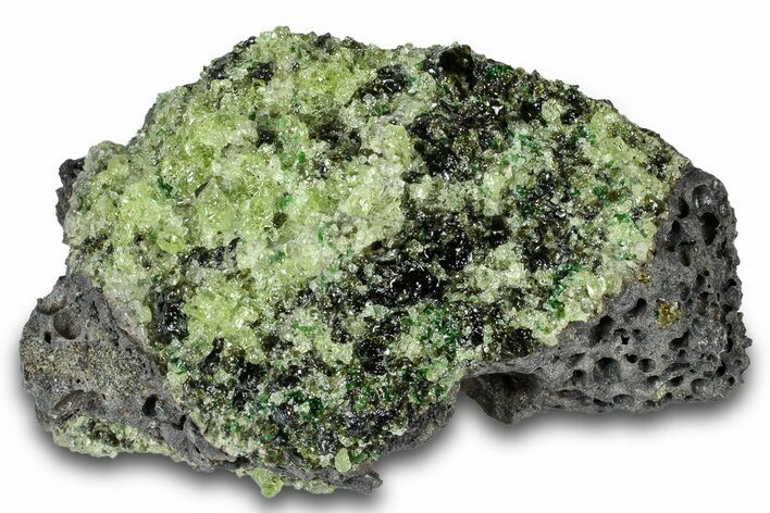 Peridot in Basalt - Arizona #300595